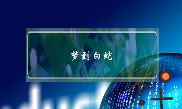 欲望都市汉化破解版下载