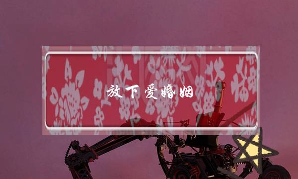 《小女上房掀瓦第两季》电视剧