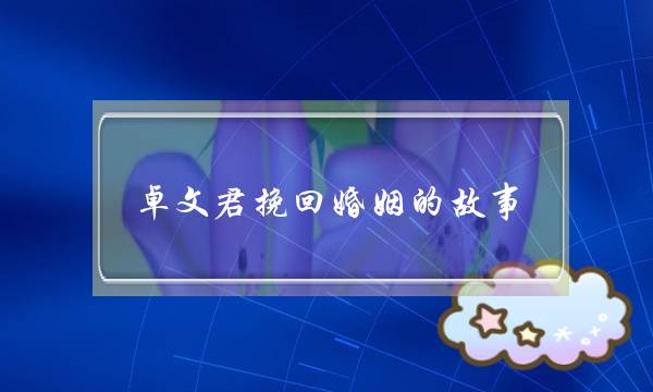 《大盗贼之爱吃土豆泥的魔法师》在线观看