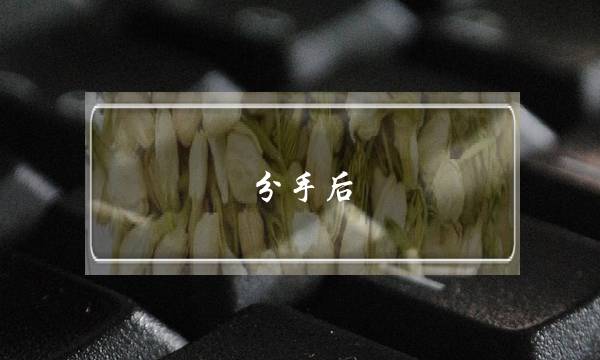 分手后 数落