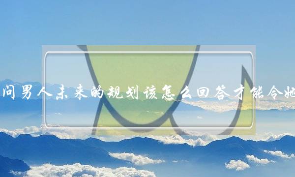 访客