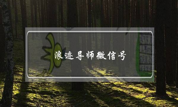 浪迹导师微信号