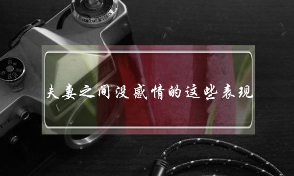 延迟上岸五百年，我靠挖宝成神