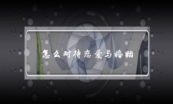 《借出爱够越北语版》电视剧