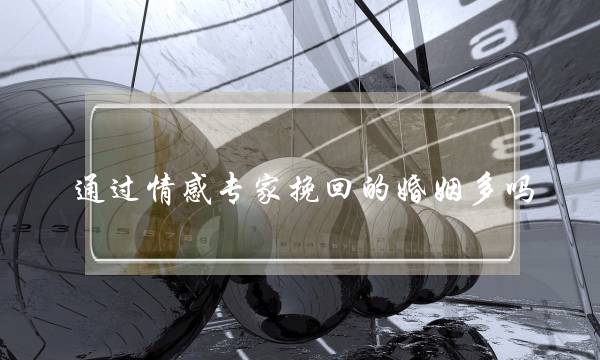 高蹈远举网