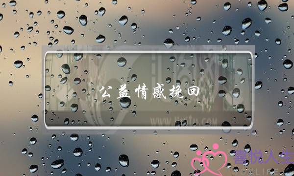 公益情感挽回