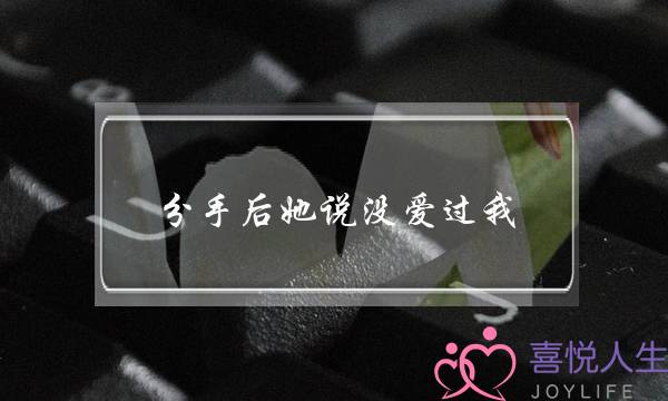 分手后她说没爱过我(分手后她说我从来没有爱过她)