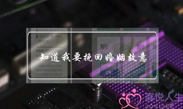 《潘多拉的宝剑》在线观看