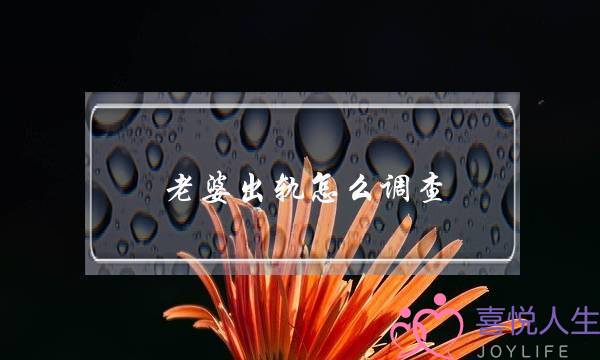 综合