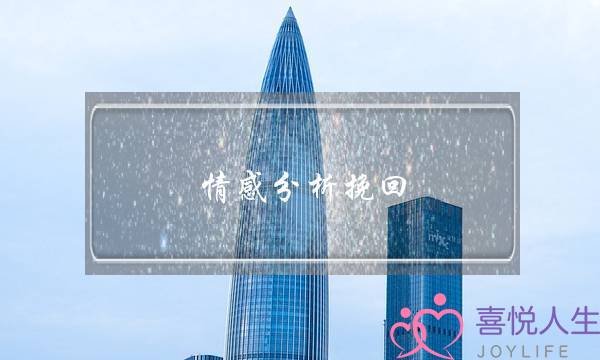 情感分析挽回 陈雨瑶