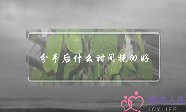 分手后什么时间挽回好(分手后什么时间适合挽回)