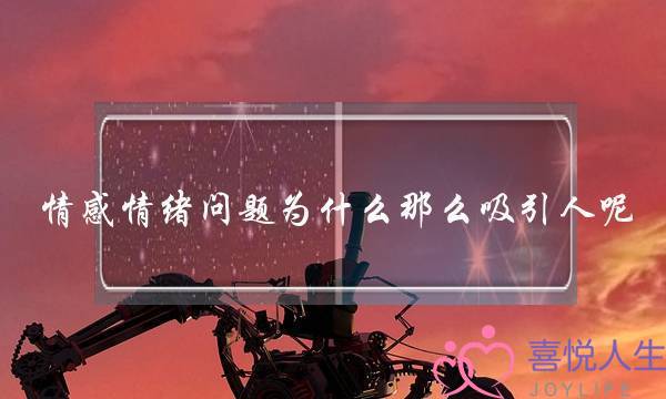 《圆块熊乐土之仓鼠极限大年夜大年夜遁逝世第6季》动漫