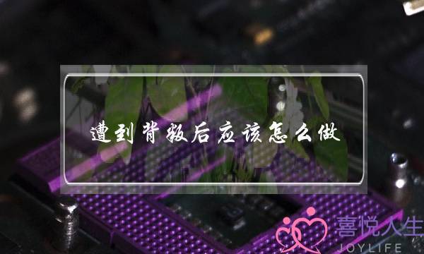 遭到变节后理应若何做