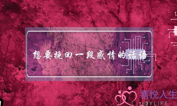 《我的教师生涯》在线观看