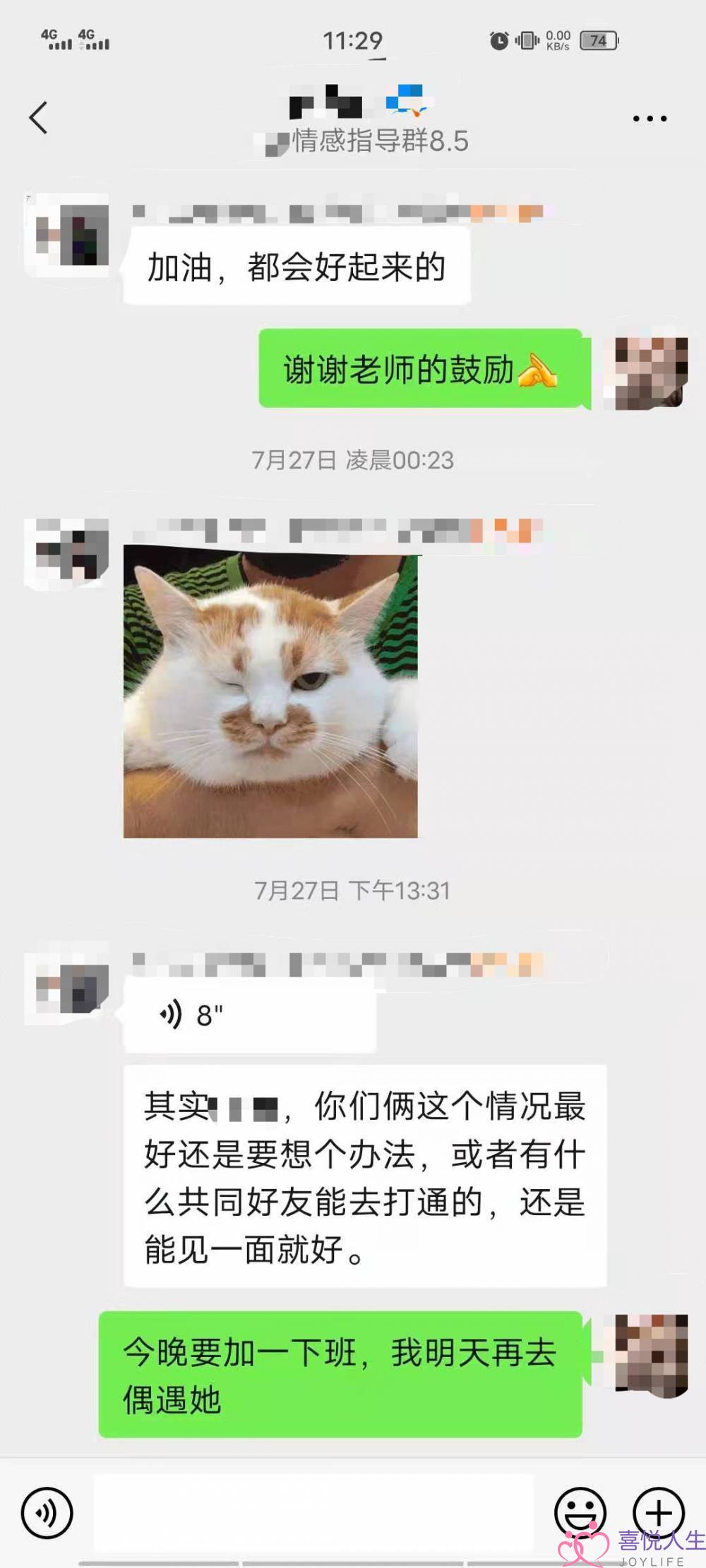 《限期结婚》在线观看