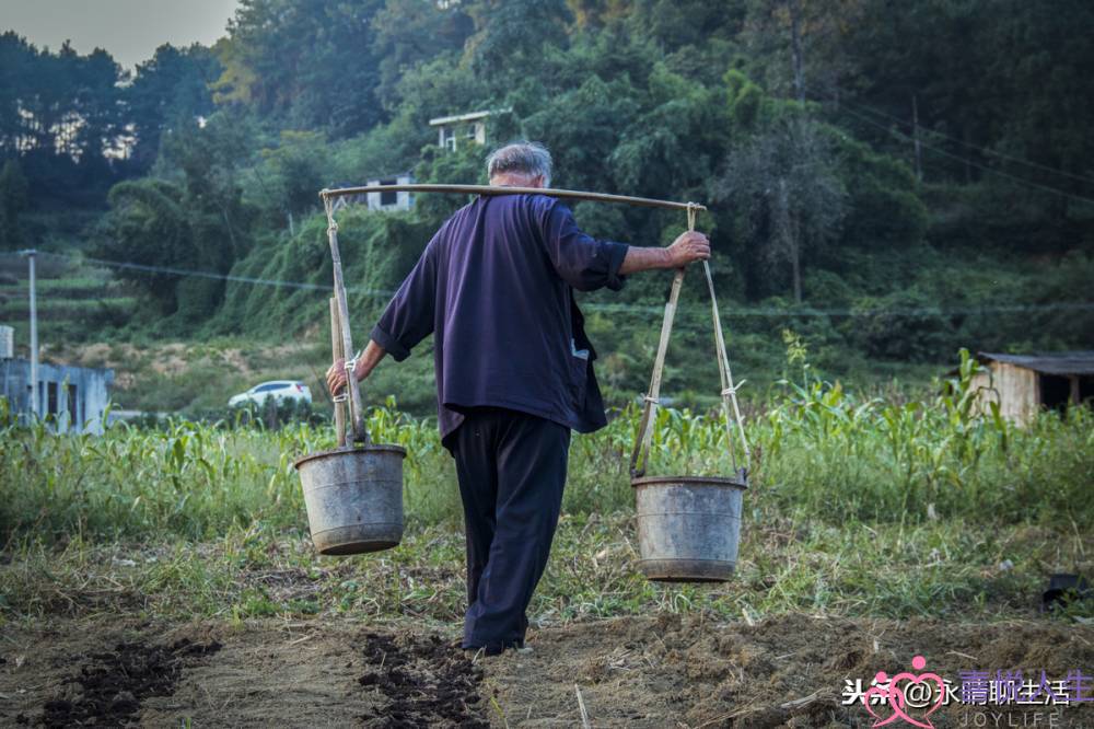 “激动挨了媳妇一巴掌，算家暴吗？若何能取得她的本谅？”