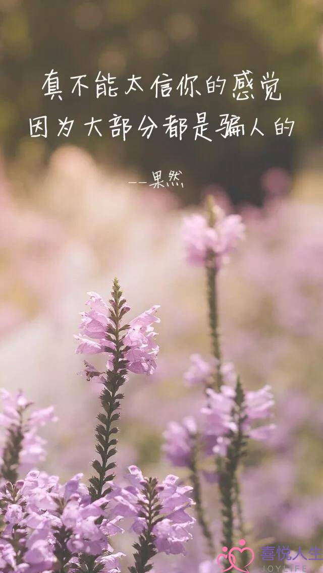 《借你俩胆》在线观看