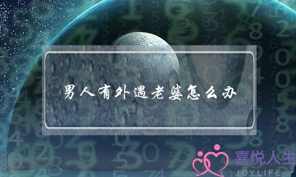 市领导赴裕安区调研政法和信访工作