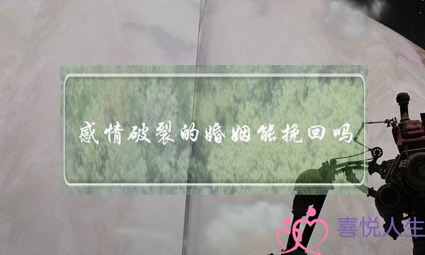 《合居情缘》在线观看