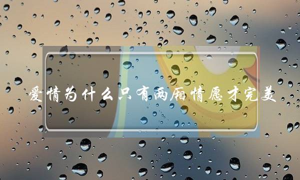 爱情为甚么只需两厢宁愿才无缺？