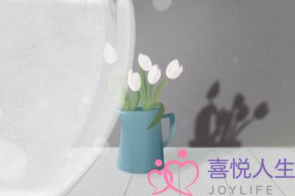 《小鹿问问玩玩具》动漫